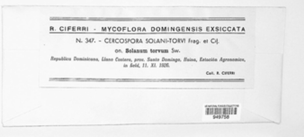 Passalora solani-torvi image